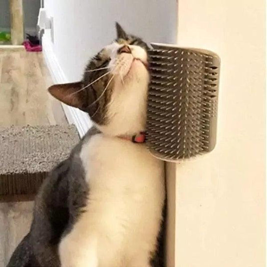 Cat Corner Scratcher and Self-Grooming Brush