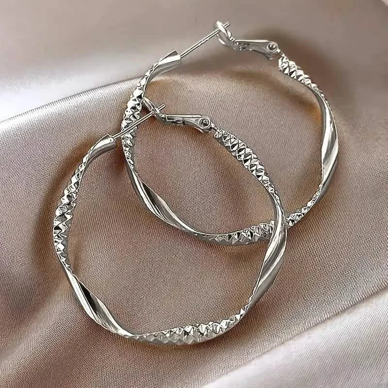Women's Silky Texture Earrings