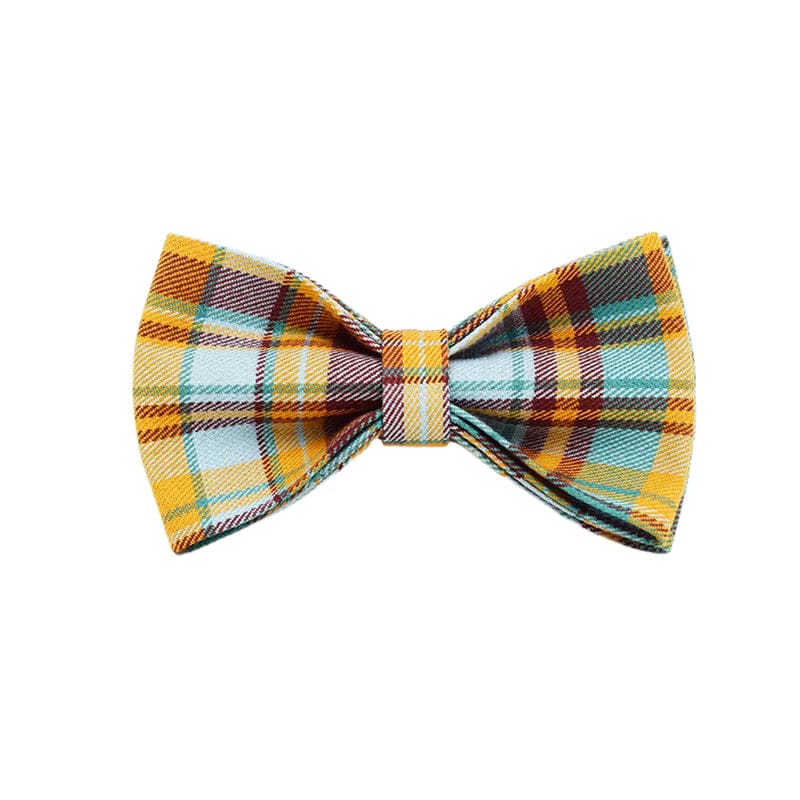 Autumn Blue Plaid Walking Set