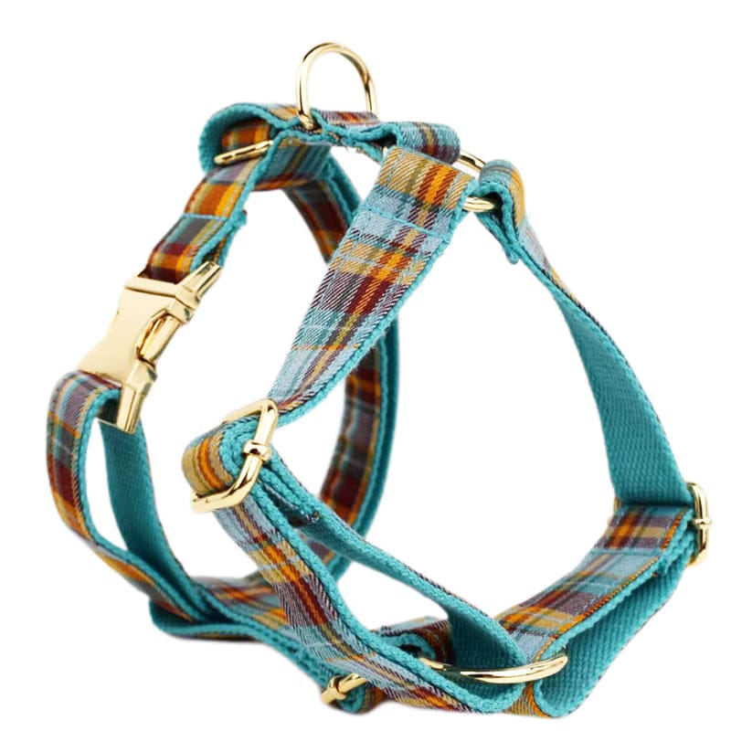 Autumn Blue Plaid Walking Set