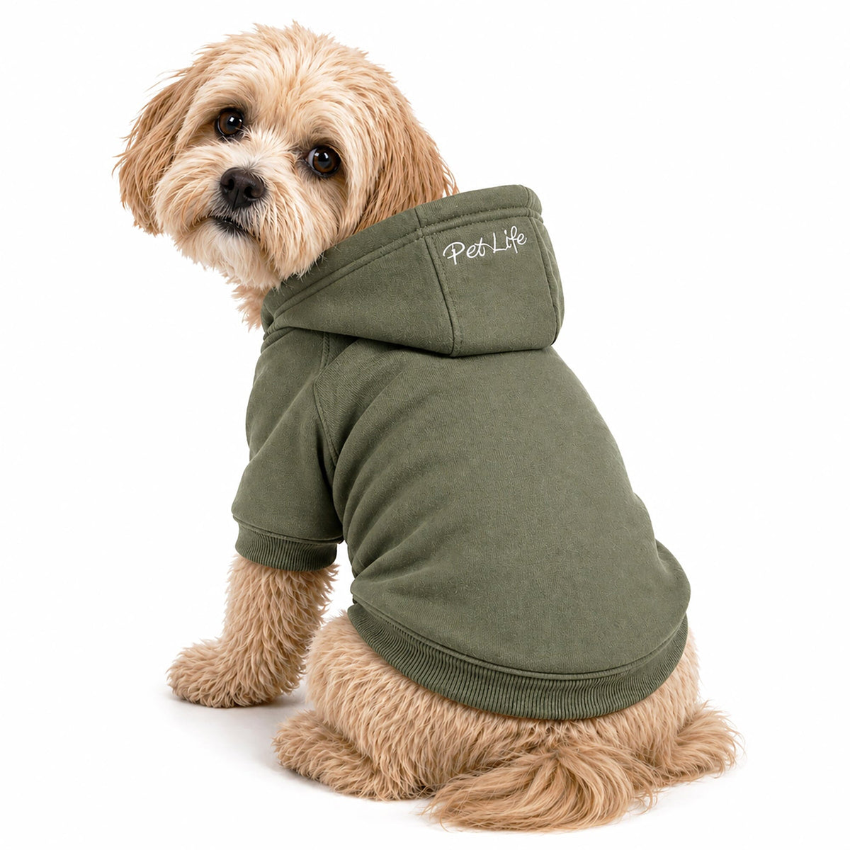 Plush Cotton Hooded Dog Sweater