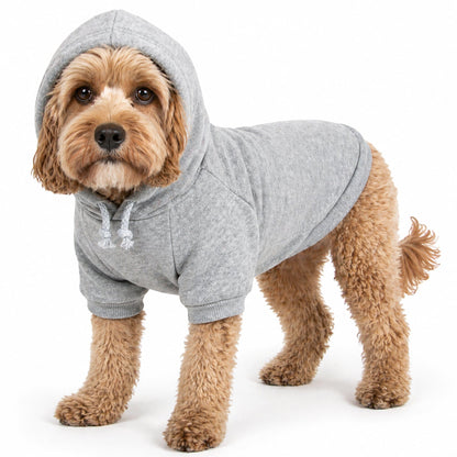 Plush Cotton Hooded Dog Sweater