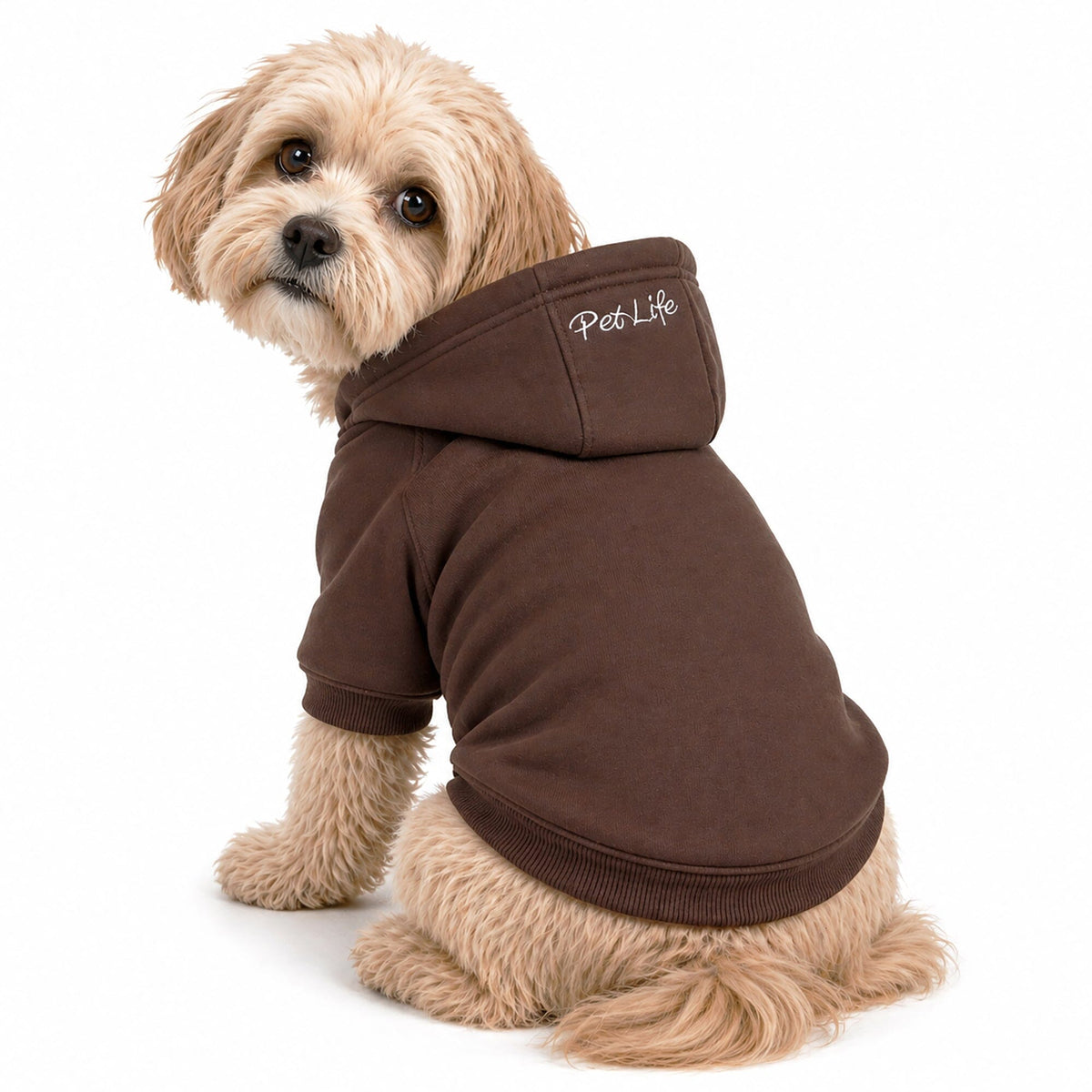 Plush Cotton Hooded Dog Sweater
