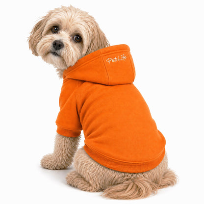 Plush Cotton Hooded Dog Sweater