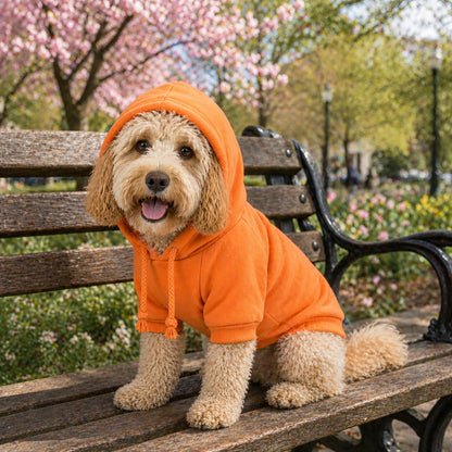 Plush Cotton Hooded Dog Sweater