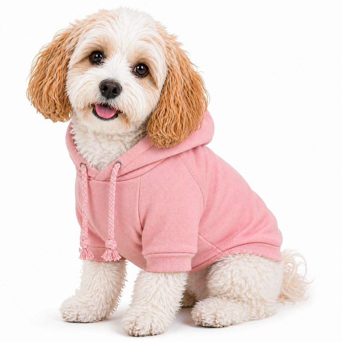 Plush Cotton Hooded Dog Sweater