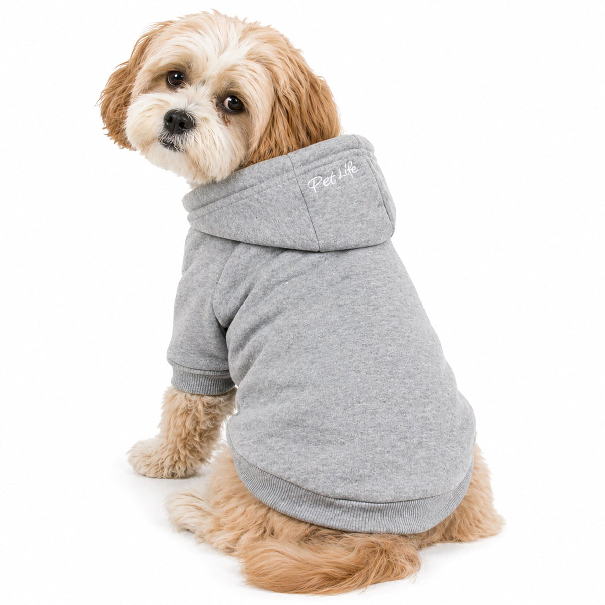 Plush Cotton Hooded Dog Sweater