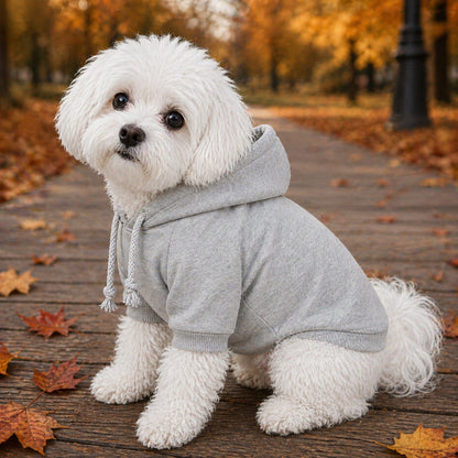 Plush Cotton Hooded Dog Sweater