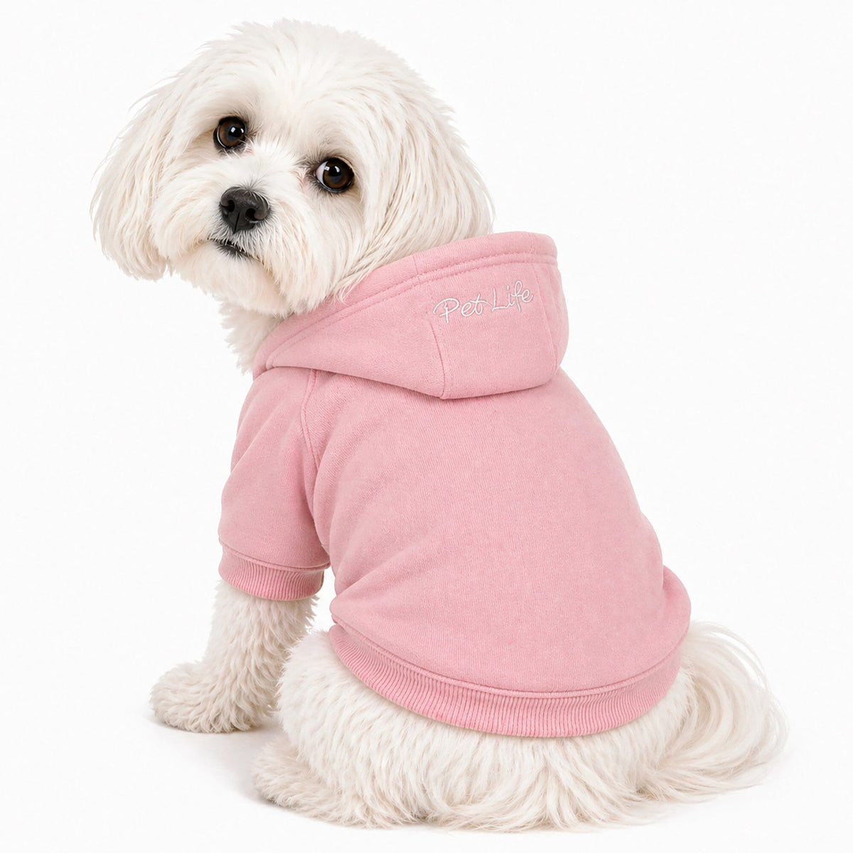 Plush Cotton Hooded Dog Sweater