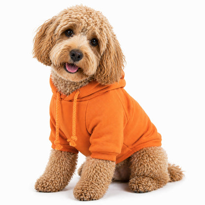 Plush Cotton Hooded Dog Sweater