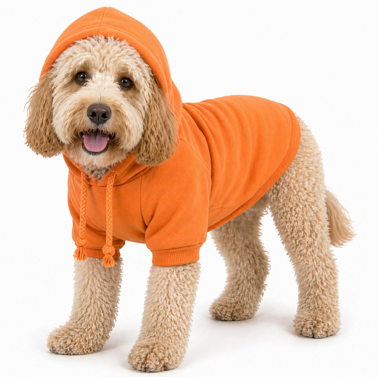 Plush Cotton Hooded Dog Sweater