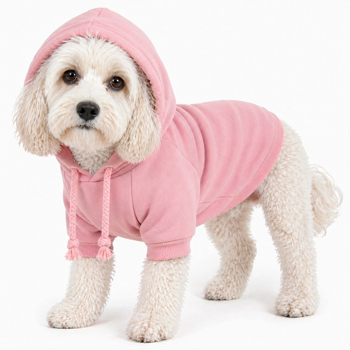 Plush Cotton Hooded Dog Sweater
