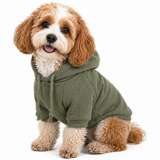 Plush Cotton Hooded Dog Sweater
